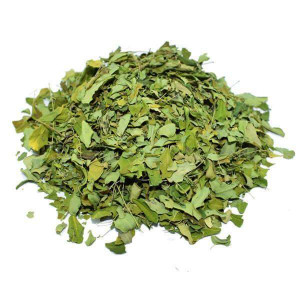 Moringa Bio- Tisane de Moringa oleifera